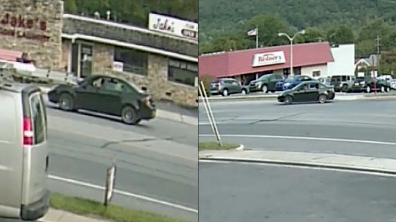 Lower Alsace shooting surveillance